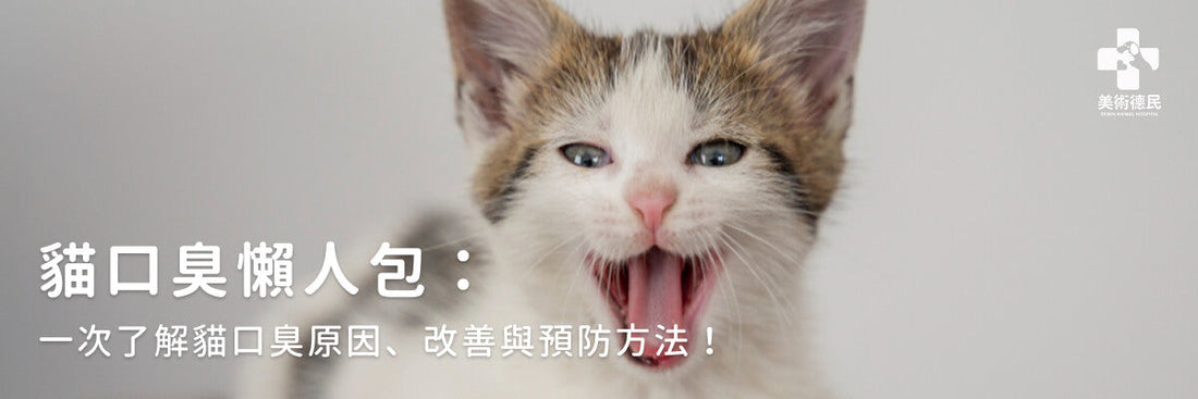 貓口臭懶人包：一次了解貓口臭原因、改善與預防方法！