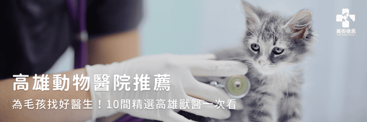 高雄動物醫院推薦｜為毛孩找好醫生！10間精選高雄獸醫一次看