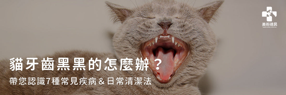 貓牙齒黑黑的怎麼辦？帶您認識7種常見疾病＆日常清潔法